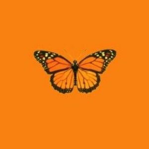 Meet your Posher, Paridelle